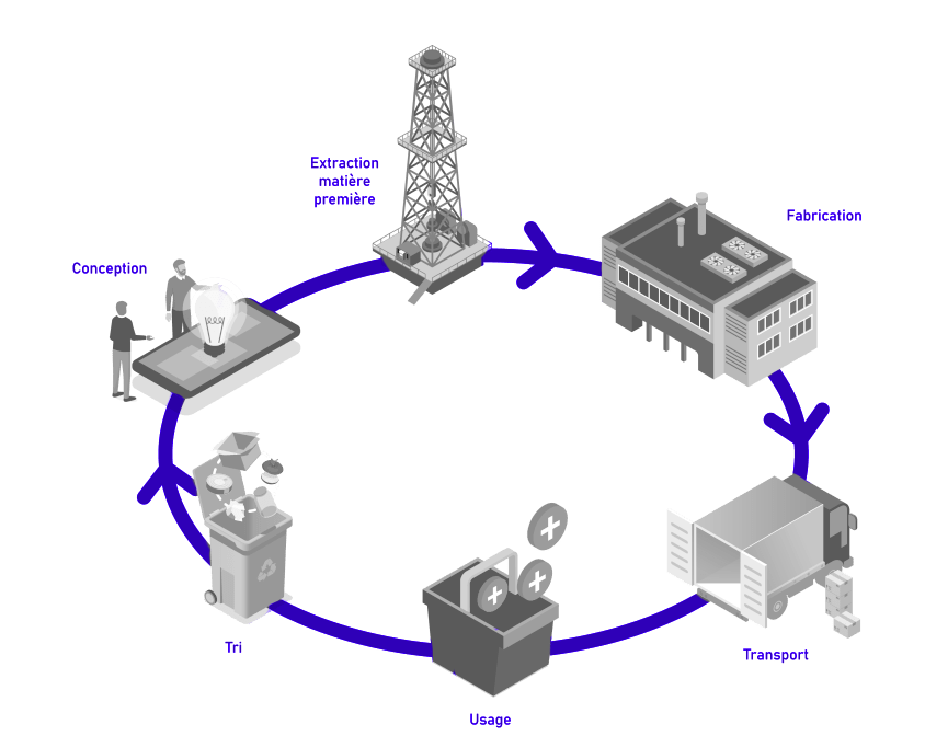 Life cycle